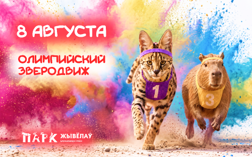 8 августа Парк животных превратится в настоящую олимпийскую арену!