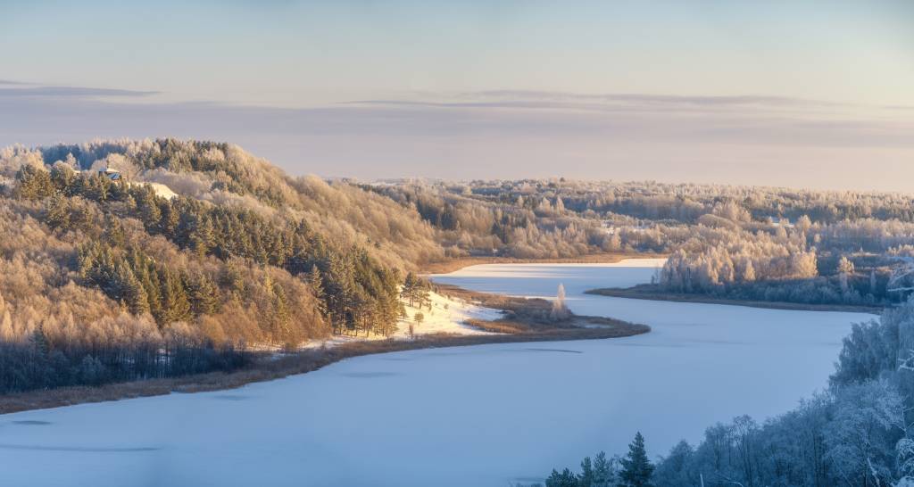 роман дмитриев12.jpg