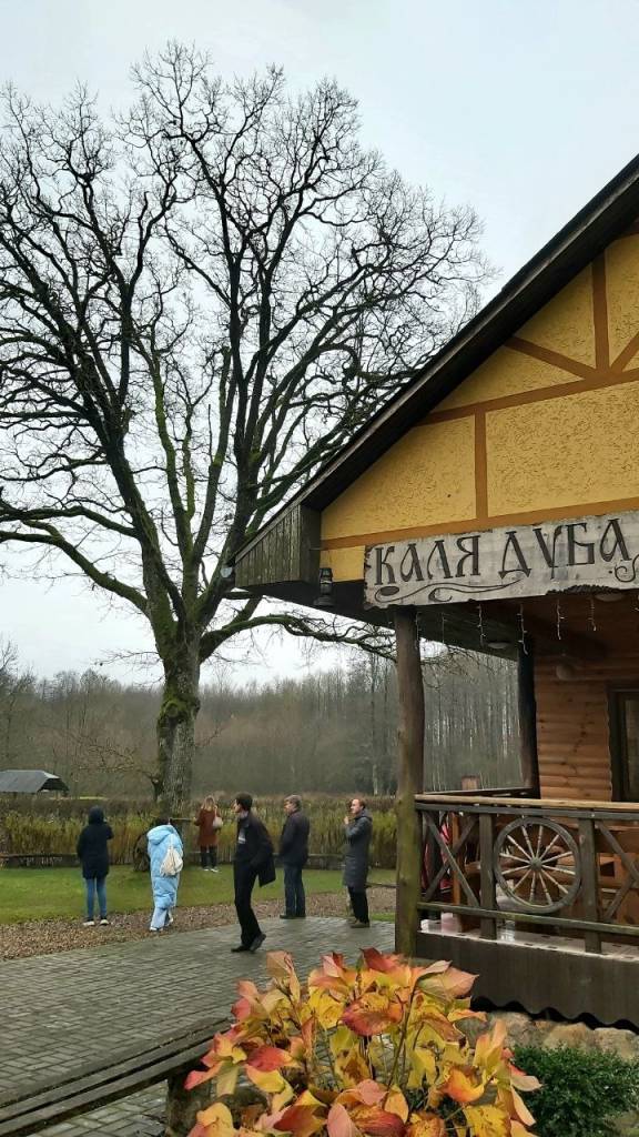 каля дуба2.jpg