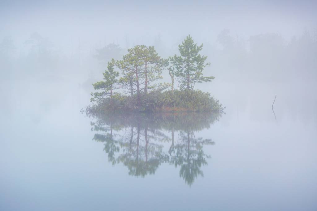 _C9A0626.jpg