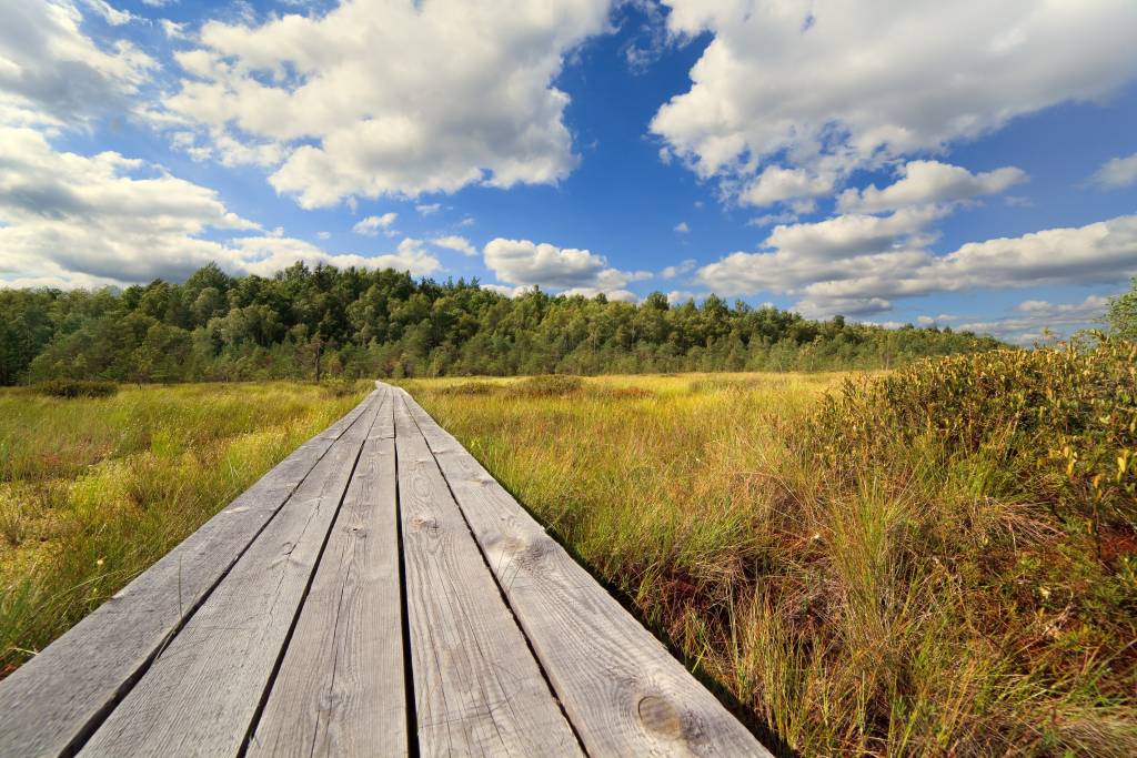 nature028.jpg