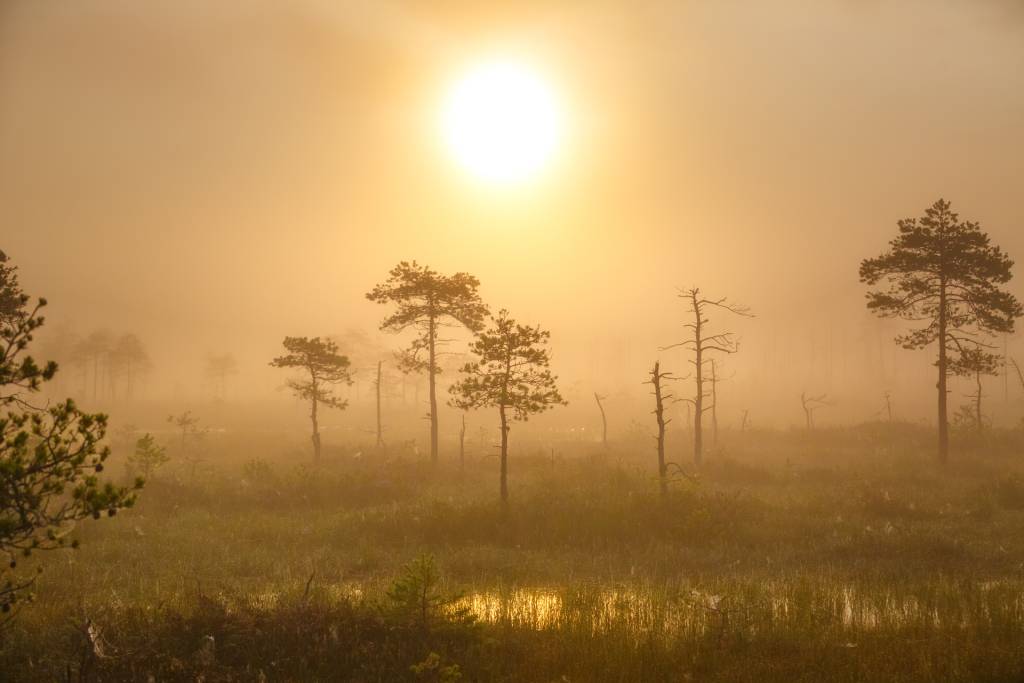 _C9A0596.jpg
