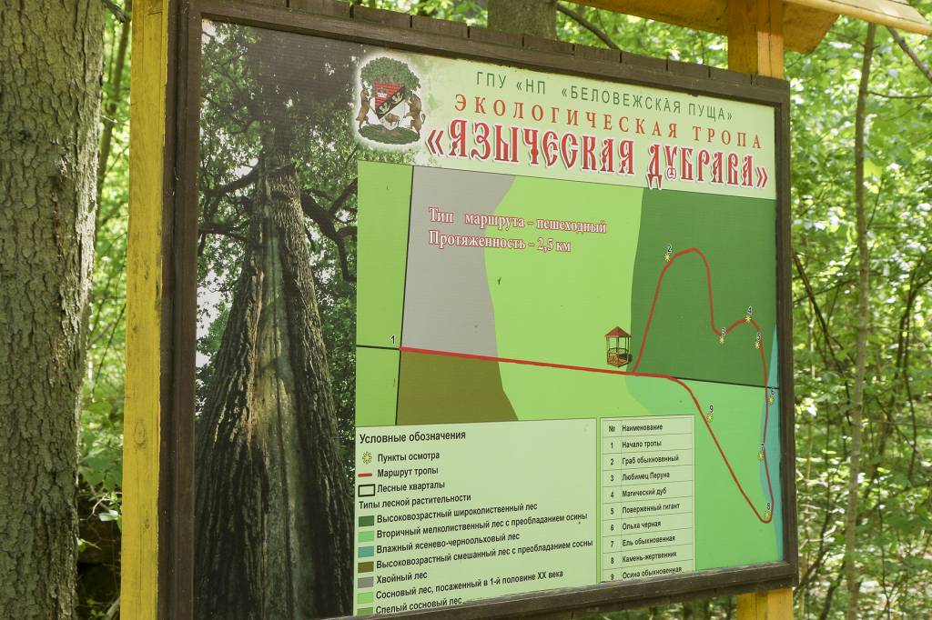 781A2491mn.jpg
