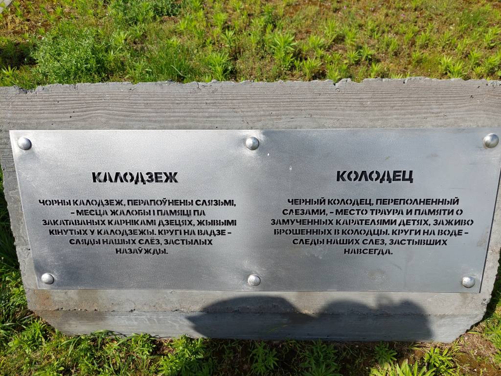 20250624_152936.jpg