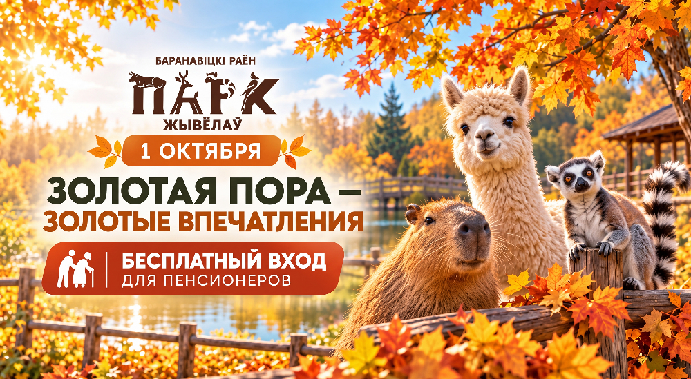d4d03276-a316-44d5-b620-8bdf6d2a5278.png