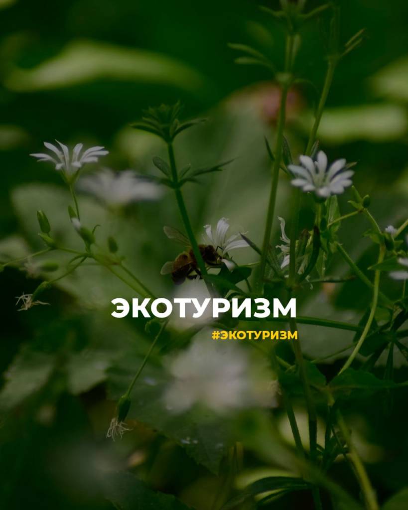 экологический.jpeg