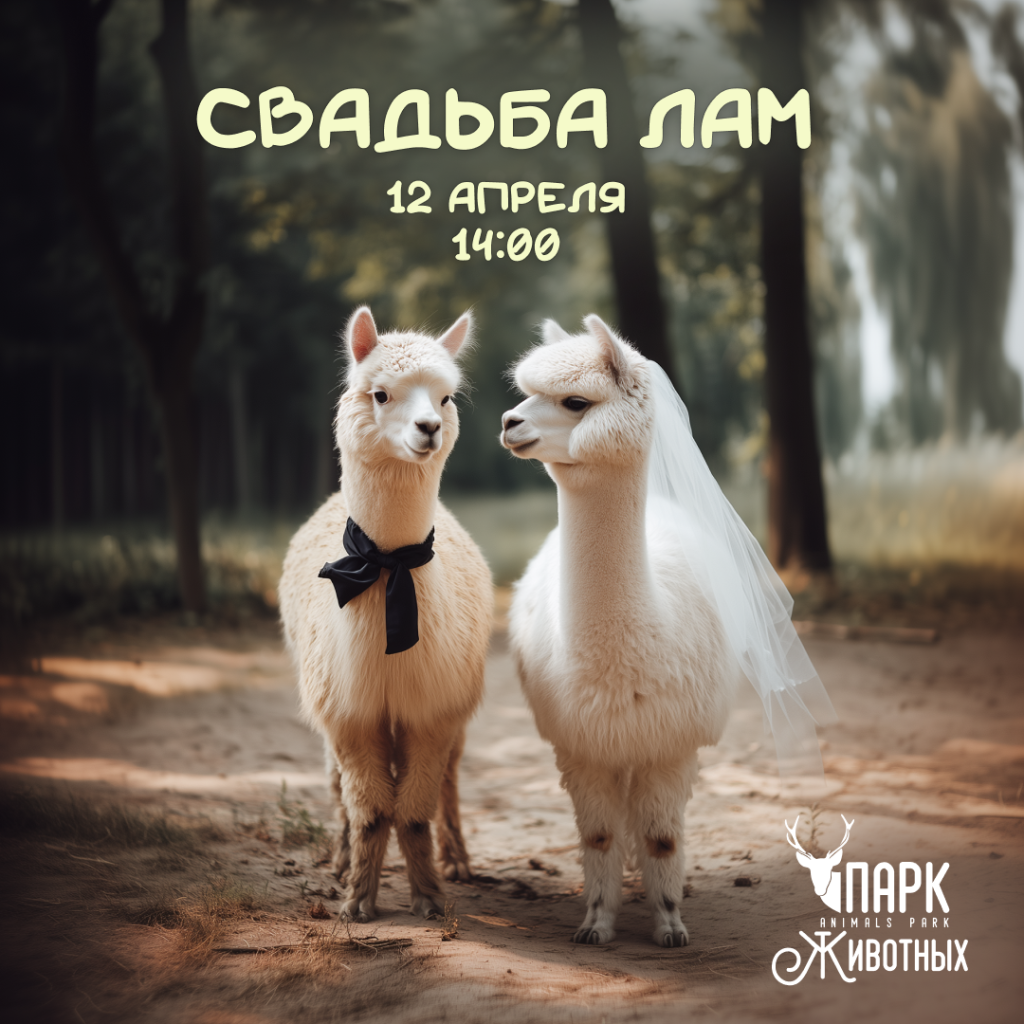 Мы ищем пост зоовет.png