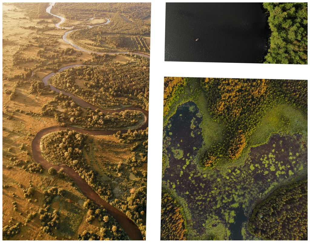 Дизайн без названия (1).png