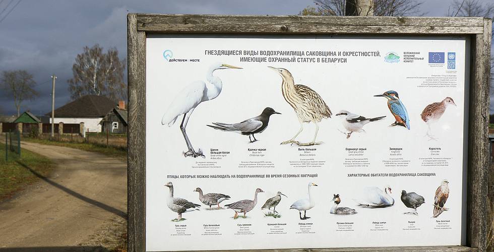 Бачыць і разумець іншага — вельмі важна