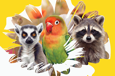 Апрель в Парке животных