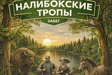 «Налибокские тропы»: массовый забег в Республиканском ландшафтном заказнике «Налибокский»