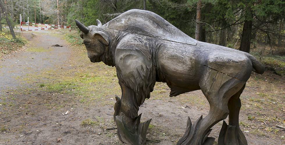Бачыць і разумець іншага — вельмі важна