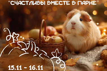 Семейный пакет «Счастливы вместе в парке» только 15–16 ноября