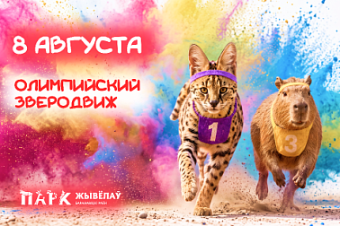 8 августа Парк животных превратится в настоящую олимпийскую арену!