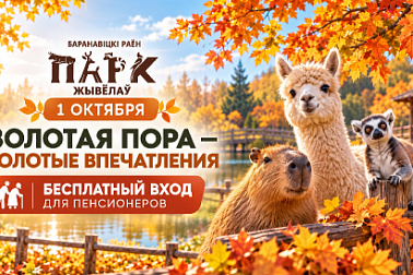 «Золотая пора — золотые впечатления!»