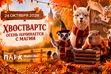 ХВОСТВАРТС: ОСЕНЬ НАЧИНАЕТСЯ С МАГИИ!